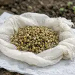 Loputtoman puutarhasängyn salaisuus tai kuinka saada ensimmäinen persiljasato kaksi viikkoa ennen naapureita loputtoman-puutarhasangyn-salaisuus-tai-kuinka-saada-ensimmainen-persiljasato-kaksi-viikkoa.png